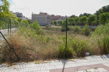 Quejas de los usuarios de la piscina de Constantí por las picaduras de avispas