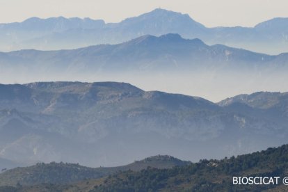 Una nueva entidad tarraconense quiere mostrar a la sociedad la «belleza de la vida»
