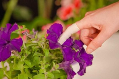 Conexión con la tierra: nueva tendencia sexual