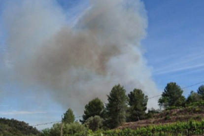 Un incendi al Priorat mobilitza a una dotzena de dotacions de Bombers