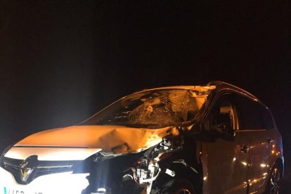 Dos caballos muertos y una mujer herida leve en un accidente de tráfico en Cambrils