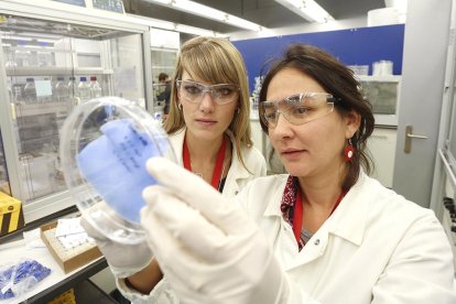 La primera 'spin-off' de l'ICIQ patenta una membrana capaç de capturar diòxid de carboni