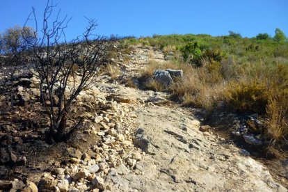 El incendio de Calafell ha quemado la Torre de la Atalaya