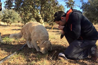 negra, perros, montañas, Trufa, Trufas de la Cuenca, concurso, gastronomía, jornadas, VIlanova de Prades, Dídac Espasa