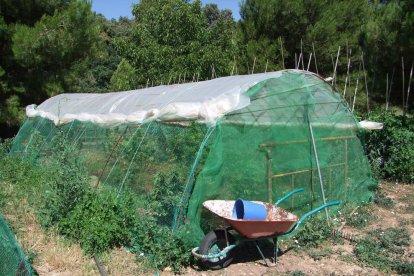 A presó per traficar amb marihuana i agredir dos homes que li van intentar robar la droga