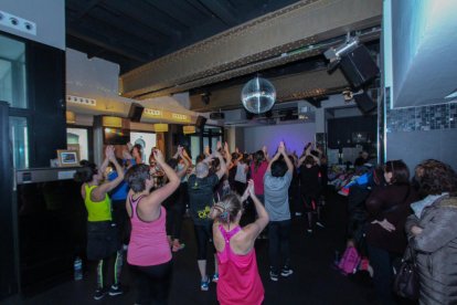 Jornada consolidaría dedicada a las mascotas