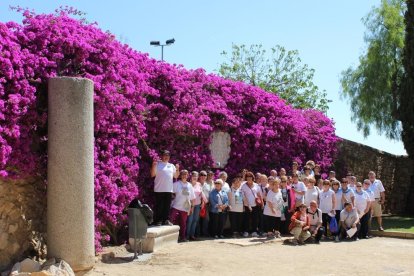 Caminata conjunta de los participantes del programa 'Anem a Caminar' de Tarragona y Reus