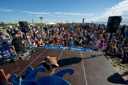 Cuatro tortugas rescatadas en el Delta y en Tarragona vuelven al mar recuperadas