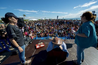 Cuatro tortugas rescatadas en el Delta y en Tarragona vuelven al mar recuperadas