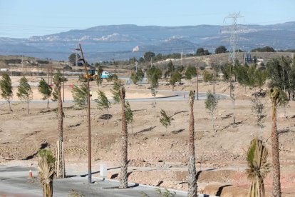 Una passarel·la singular unirà diversos edificis de l'Anella dels Jocs