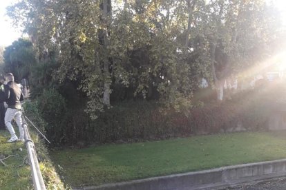 Un cotxe cau per un pont a Cambrils