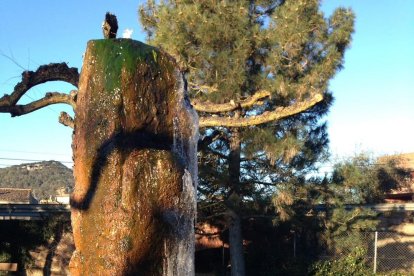 Les Muntanyes de Prades, sota zero