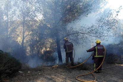 Un petit incendi afecta una zona de pins a Sant Pere i Sant Pau