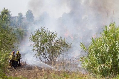 Un pequeño ineni quema matorrales cerca del Viena del Tecnoparque de Reus