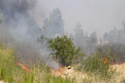Un pequeño ineni quema matorrales cerca del Viena del Tecnoparque de Reus