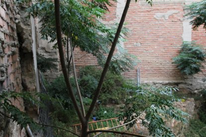 Imposen dues multes a un solar descuidat del carrer Estanislau Figueres