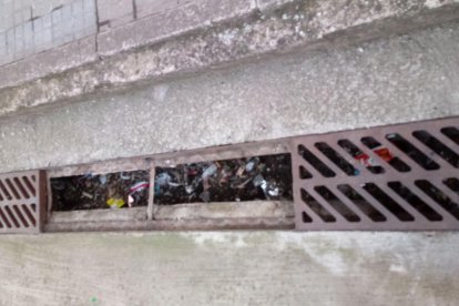 Roben vuit reixes de desguassos en una nit a Mas Pellicer