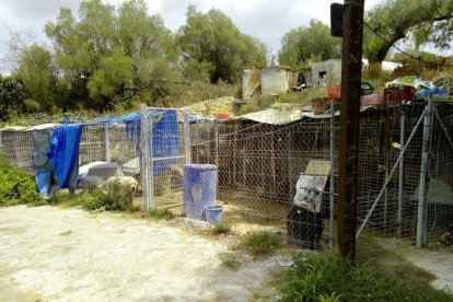 Abren diligencias en una perrera de Calafell después de encontrar un perro muerto