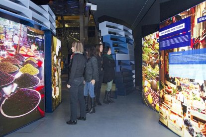 Sorolla i el Mediterrani, protagonistes al CaixaForum Tarragona 2016-2017