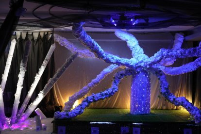 El instituto Vila-seca presenta la instalación 'Vivimos la naturaleza'