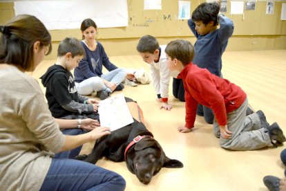 Vila-seca estrena dos nuevos 'maestros' de lectura: los perros Lolo y Mel