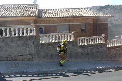 Un incendi en un habitatge a Segur de Calafell descobreix 15 plantes de marihuana