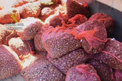 Intervenen més de 800 quilos de cargols no aptes per al consum humà