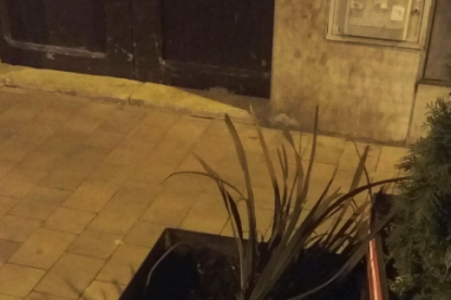 Uns actes vandàlics malmeten diverses jardineres a Torredembarra