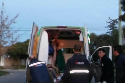 El seu gos 'l'abraça' mentre l'atenen després de patir una caiguda