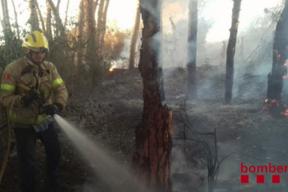 Un incendio quema una hectárea de vegetación en la Selva del Camp