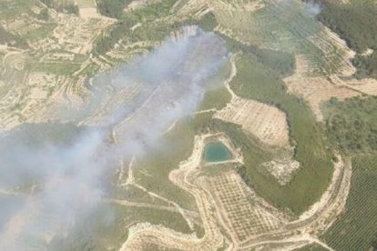 Un incendio en la Fatarella afecta a cuatro hectáreas de terrenos agrícolas y forestales