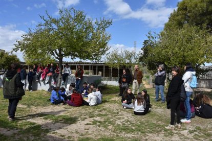Alumnos de los institutos de la Torre inician las primeras actividades de la Fiesta del Árbol