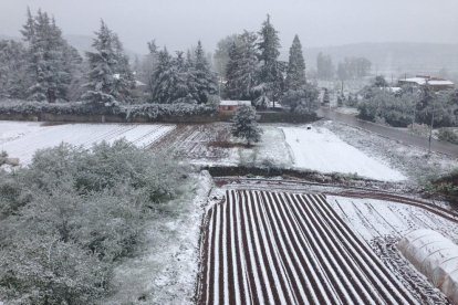 Les muntanyes de Prades es lleven enfarinades