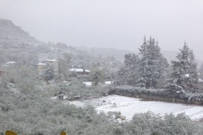 Les muntanyes de Prades es lleven enfarinades