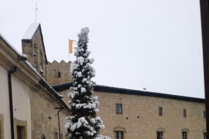 Gran nevada al Camp de Tarragona