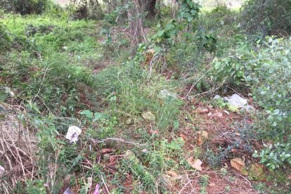 El PDeCAT denuncia el deteriorament de les pistes esportives de la Móra-Tamarit