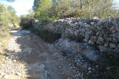 En los terrenos de la Budellera hay restos ibéricos y romanos