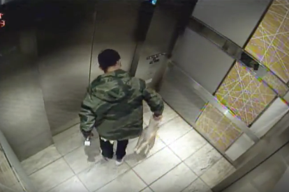 Tres años de libertad condicional por agredir a su perro