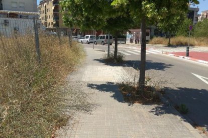 Els veïns dels Boulevars i el Cintoi denuncien la brutícia i falta de manteniment dels seus carrers