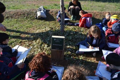 Uns cartells identifiquen els arbres apadrinats per l'Escola Prat de la Riba a la Boca de la Mina