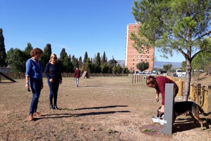 Valls estrena su primer parque canino