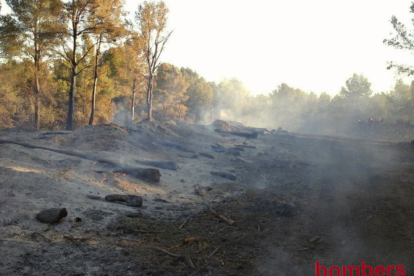 Los Bomberos siguen remojando una pila de troncos que quema desde ayer a Fontscaldes