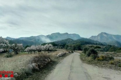Un incendi crema 3.500 metres quadrats de vegetació a Rasquera