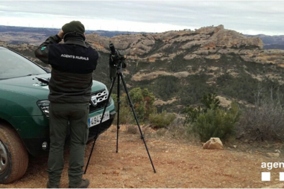 Rescaten tres gossos d'un cingle a Benissanet