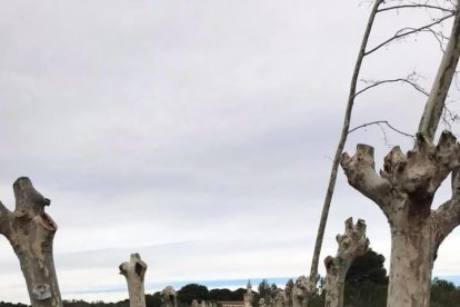 Cunit trabaja para conservar la masía de estilo modernista de Cal Pla