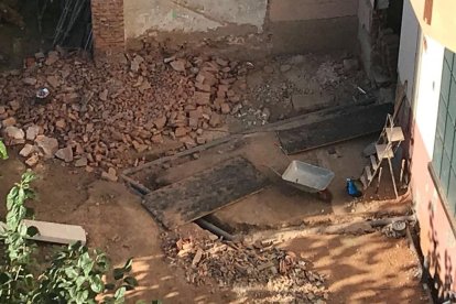 Un pavo real se deja ver en el interior de una tienda cerrada de Tarragona