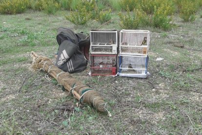 Los Mossos denuncian a 2 personas a Torreforta por la caza ilegal de pájaros fringílidos