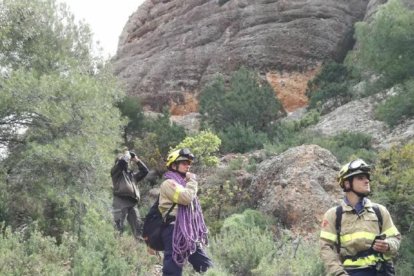 Rescatan un perro atrapado en los Estrets de Arnes