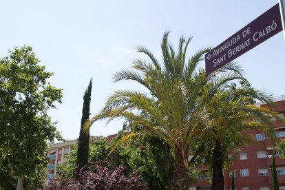L'Escola Sant Bernat Calbó tanca quatre dècades de feina per posar la 'v' al nom
