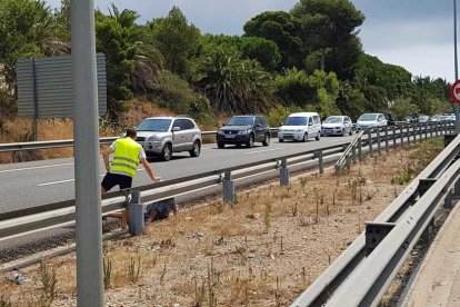 Un motorista s'accidenta a l'A-7 a Tarragona